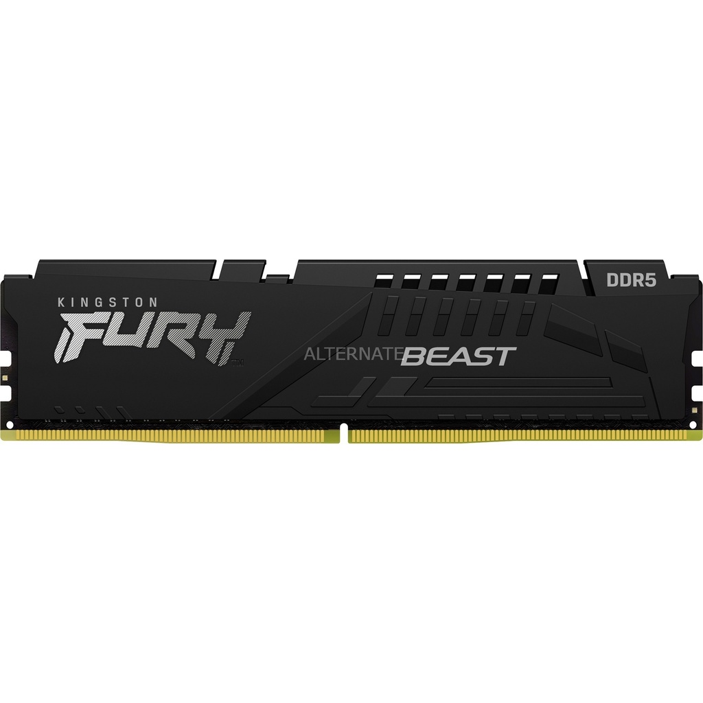 [310100-KF556C40BB-16] Kingston FURY Beast 16 GB DDR5 SDRAM Memory Module