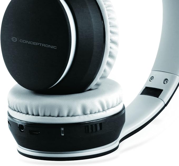 [310100-PARRIS01B] Conceptronic PARRIS 01B