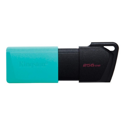 [DTXM/256GB] KINGSTON FLASH DRIVE USB 3.2 256 GB